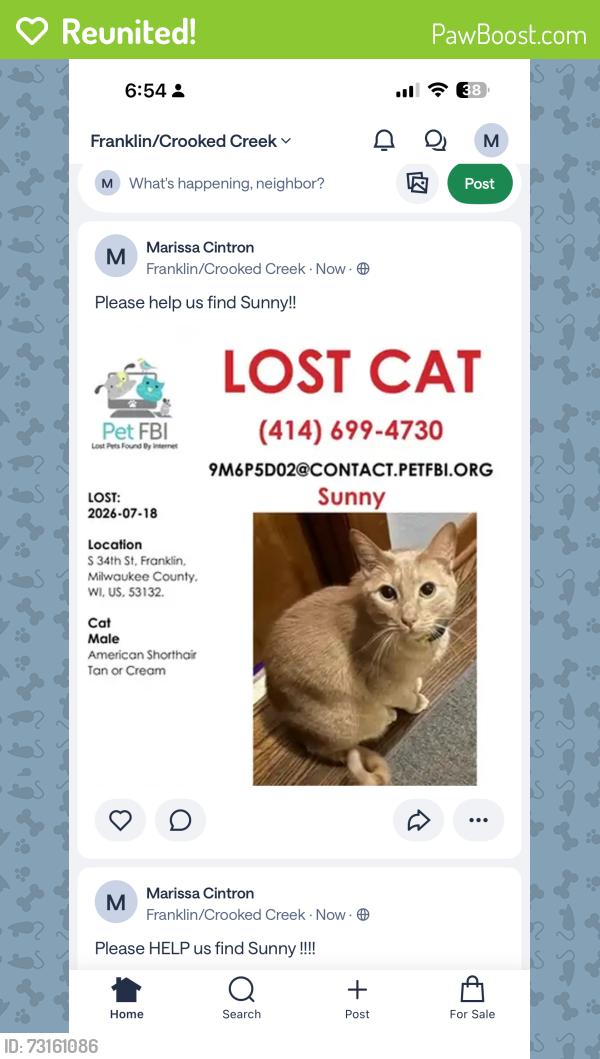 Reunited Male Cat last seen Near S 34th Street, Franklin, WI 53132