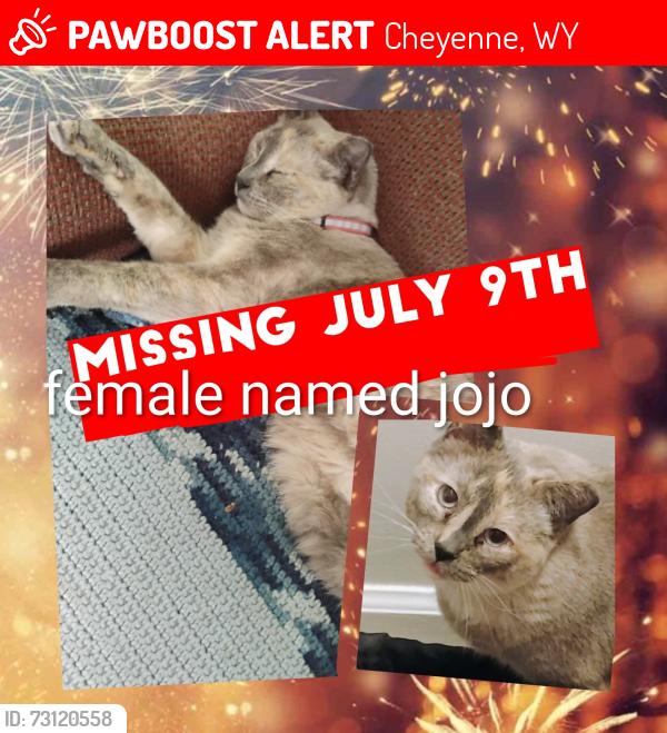 Lost Female Cat last seen College and waltershield, Cheyenne, WY 82007