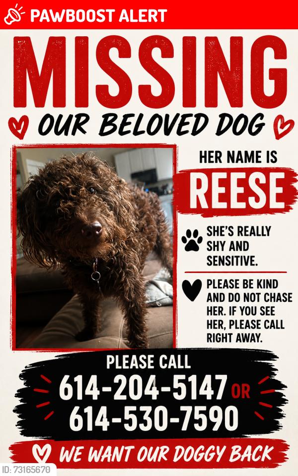 Lost Female Dog last seen Winding path dr, South Columbus, OH 43068