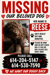 Lost Female Dog last seen Winding path dr, South Columbus, OH 43068