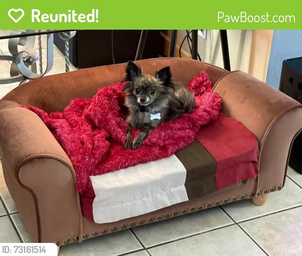 Reunited Female Dog last seen Riverwoods Dr, Bend, OR 97702