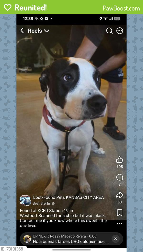 Reunited Male Dog last seen Plaza area, Kansas City, MO 64117