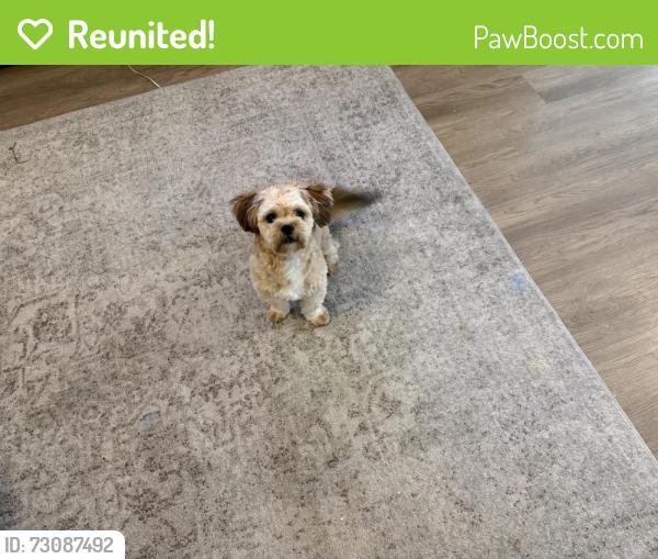 Reunited Male Dog last seen Beach way and Cliffdale rd, Fayetteville, NC 28314