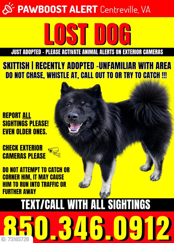 Lost Male Dog last seen Stillfield Pl - cub run trails, Centreville, VA 20120