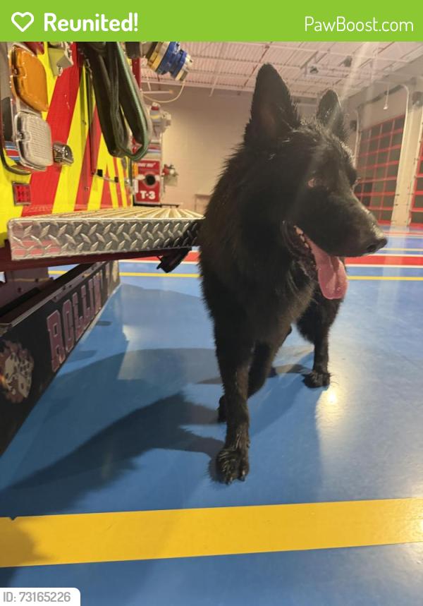 Reunited Unknown Dog last seen bell farm rd and mocksville hwy, Statesville, NC 28625