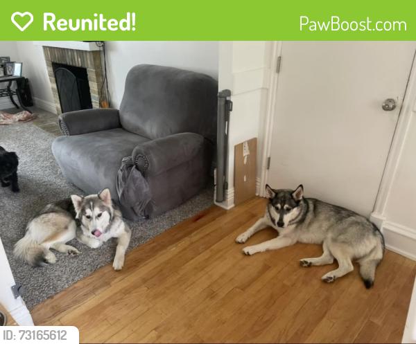 Reunited Unknown Dog last seen Near s 7200 w, 3500s 7200 w, West Valley City, UT 84128