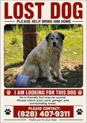 Lost Male Dog last seen Candler Knob Rd, Asheville, NC 28806