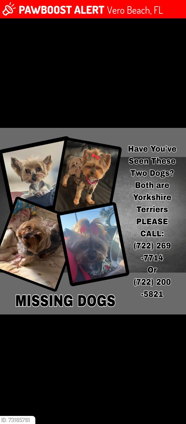 Lost Male Dog last seen Near 24th PL SW, Vero Beach, FL 32962