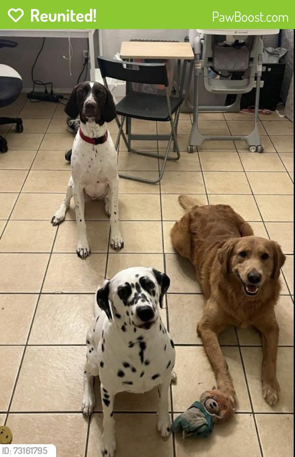 Reunited Unknown Dog last seen Bill Allen Memorial Park, The Colony, TX 75056