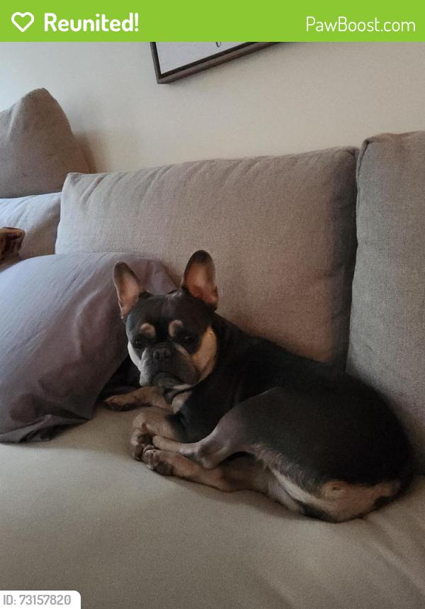 Reunited Female Dog last seen truslow rd/ cool breeze way, Fredericksburg, VA 22406