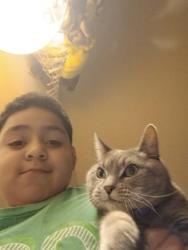 Lost Female Cat last seen Church, Rio Rancho, NM 87124