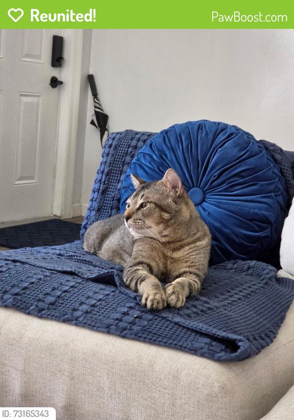 Reunited Male Cat last seen Often near 6th Street and 6 Terr and 17th Street and Terr, Fort Lauderdale, FL 33301
