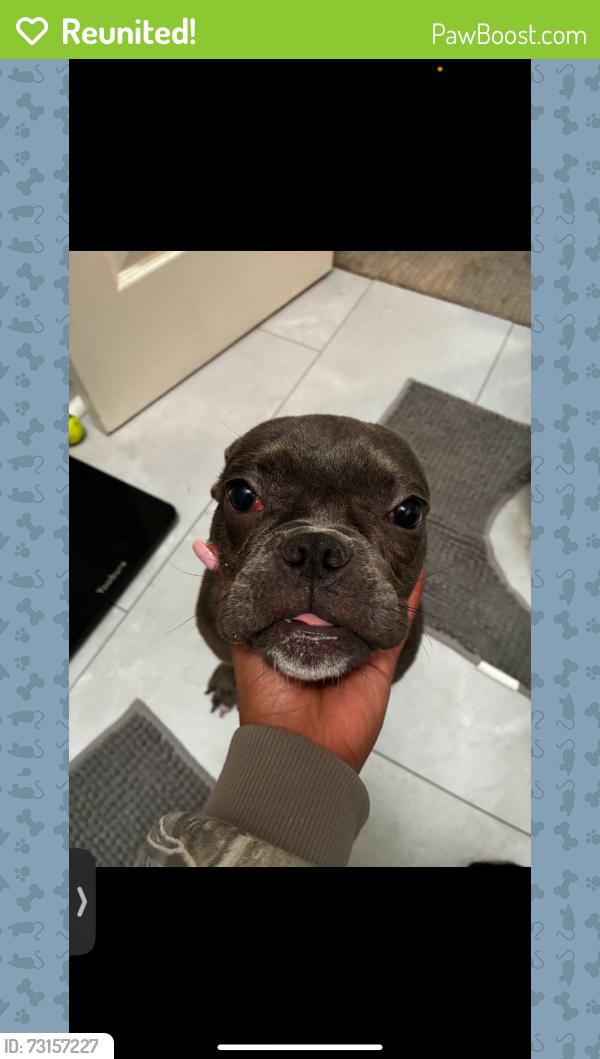 Reunited Male Dog last seen S 33rd st neighborhood behind Dillions, Wichita, KS 67217