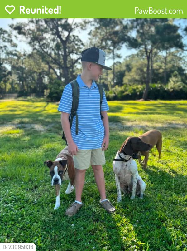 Reunited Male Dog last seen Berman Rd, Dunnellon, FL 34431