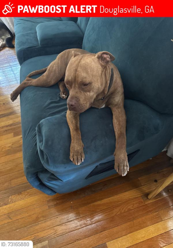 Lost Male Dog last seen Highway 92/Sweetwater church/brownsville rd, 30134 zip code, Douglasville, GA 30134