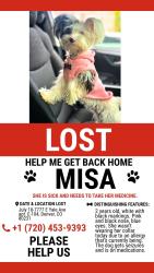 Lost Female Dog last seen Near Yale e avenue, Denver, CO 80210