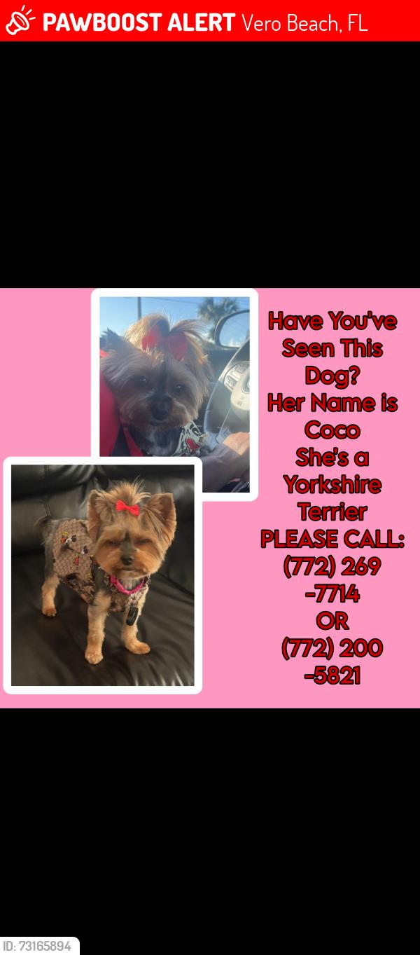 Lost Female Dog last seen Near 24th PL SW Vero Beach ,FL 32962, Vero Beach, FL 32962