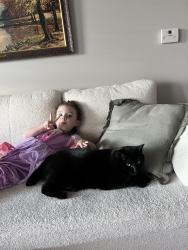 Lost Male Cat last seen Creekside, Parkville, MO 64152