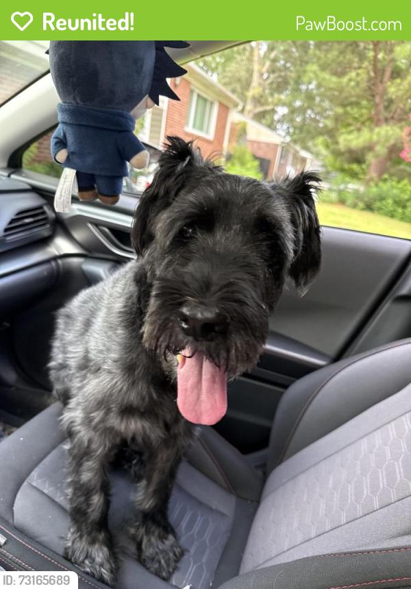 Reunited Male Dog last seen Quincy and Sheppard, Norfolk, VA 23518