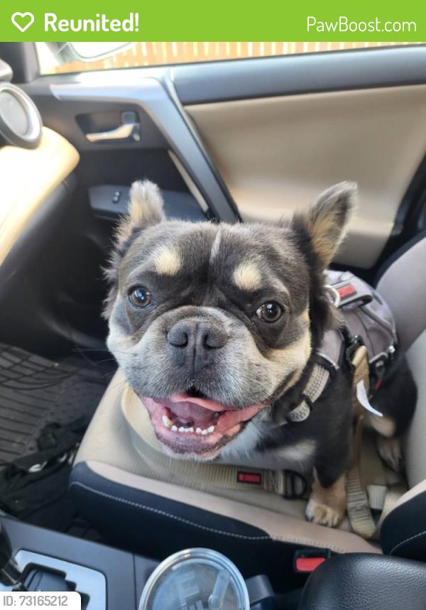 Reunited Male Dog last seen 49th and 26th sve, Vancouver, WA 98663