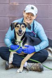 Shelter Stray Male Dog last seen Near Satellite Way Ellenwood, 30294, 30294, GA, 3280 Chamblee Dunwoody Rd, Chamblee, GA 30341, USA