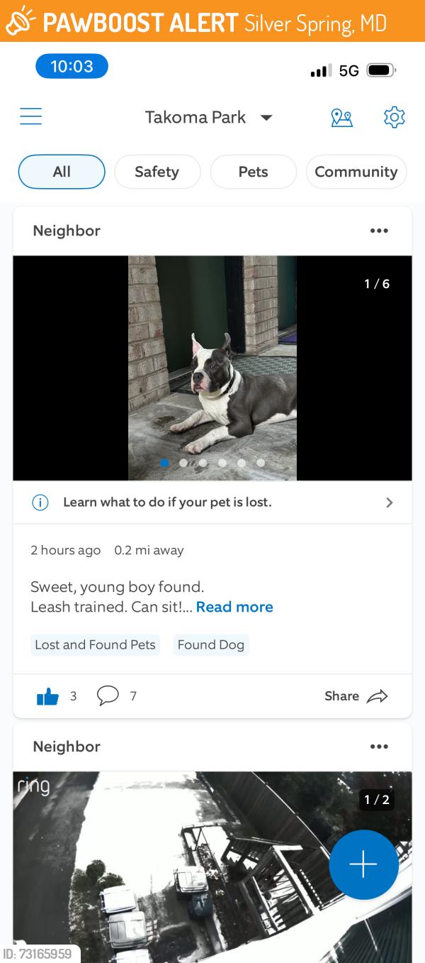 Found/Stray Male Dog last seen Near Blair road, Silver Spring, MD 20912
