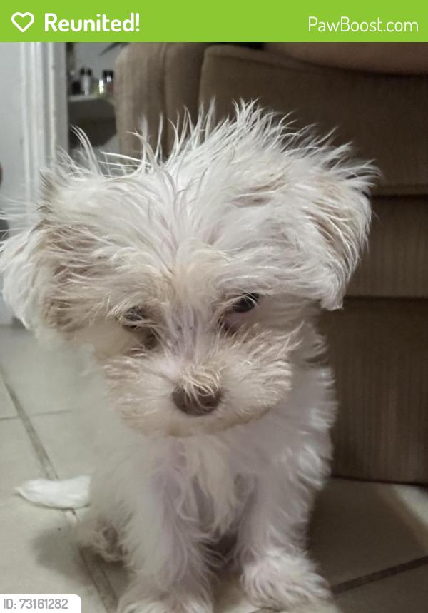 Reunited Female Dog last seen Memorial av, Waco, TX 76708