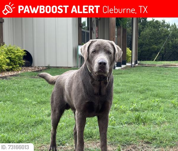 Lost Male Dog last seen Hills of Homes, Cleburne, TX 76033