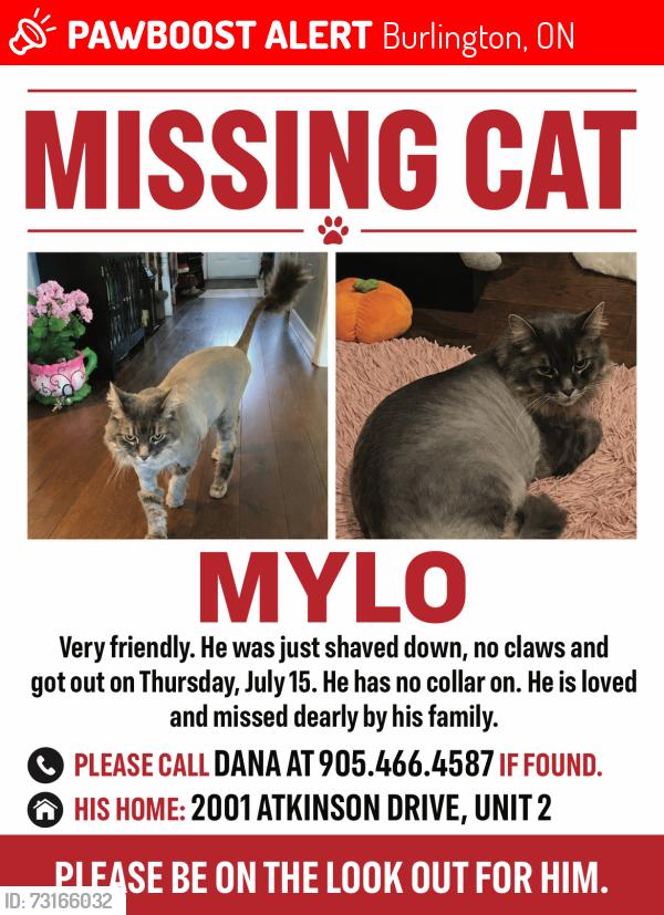 Lost Male Cat last seen Millcroft Park, Burlington, ON 