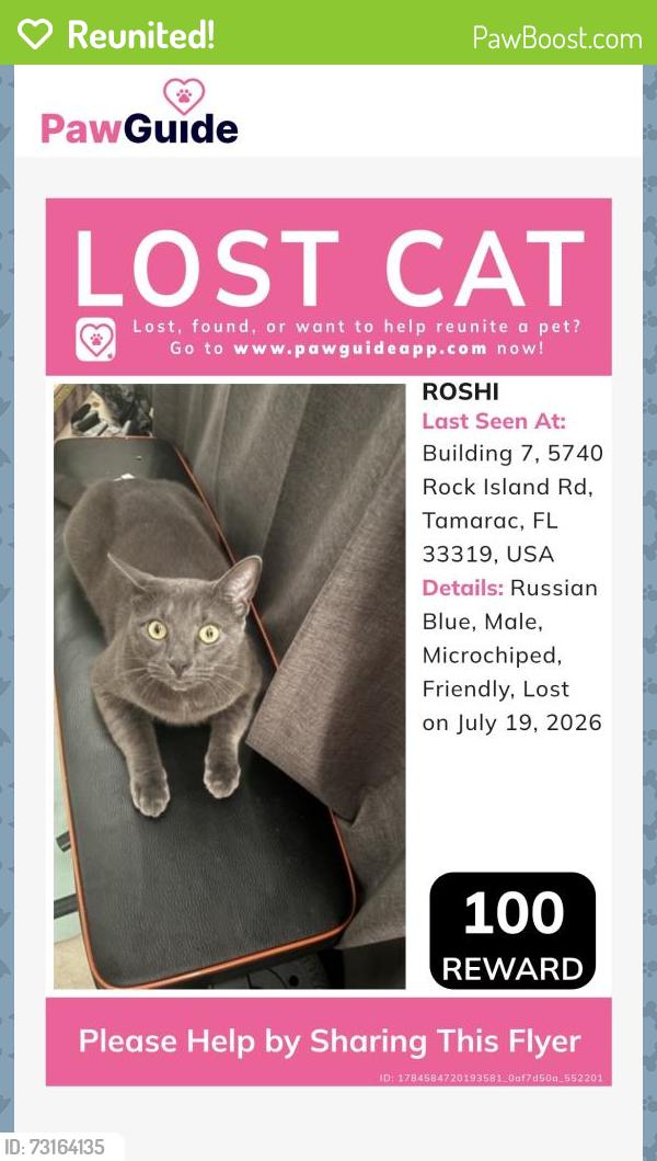 Reunited Male Cat last seen Rock island and commercial, Tamarac, FL 33319