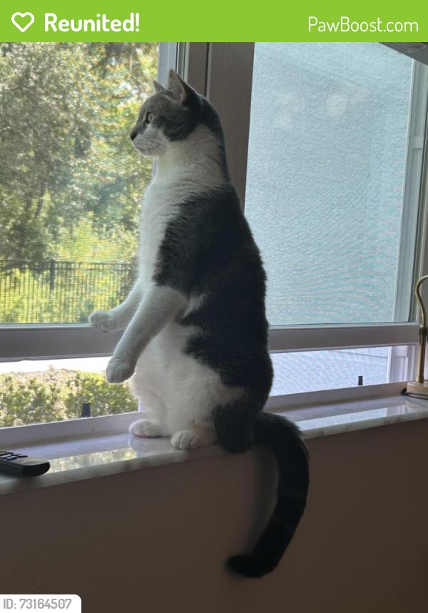 Reunited Male Cat last seen West Colonial Drive, Orlando, FL 32805