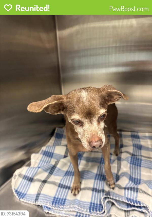 Reunited Male Dog last seen Greenville, TX, Greenville, TX 75402
