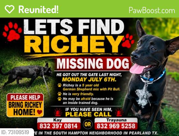 Reunited Male Dog last seen Ames st, Pearland, TX 77584