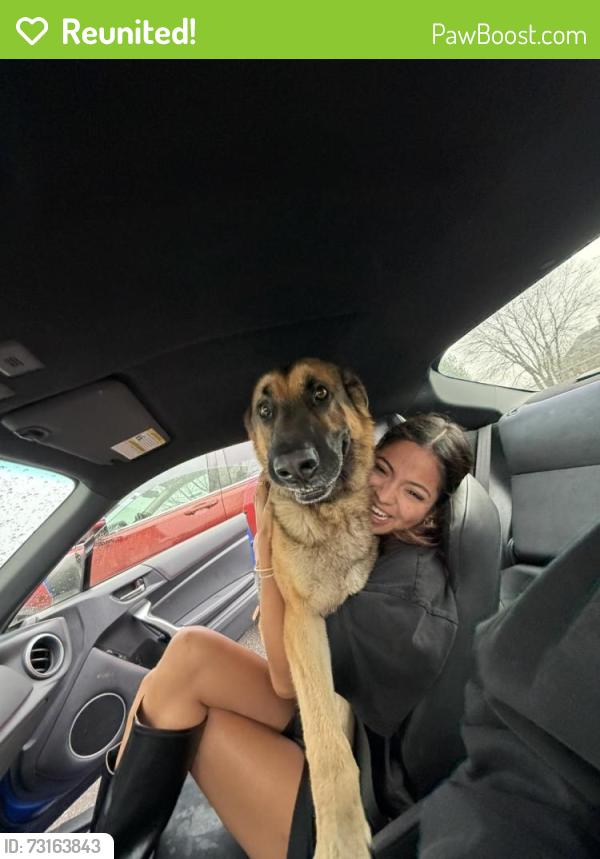 Reunited Male Dog last seen Mills Dr and Sandy Ln Dr/ route 17. Belvedere Plantation and the Rappahannock river, Fredericksburg, VA 22408