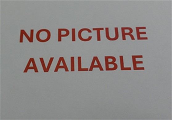 Shelter Stray Male Dog last seen Near W 8TH ST, SANFORD FL 32771, 232 Eslinger Way, Sanford, FL 32773, USA