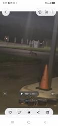 Lost Unknown Dog last seen Babcock rd, San Antonio, TX 78240