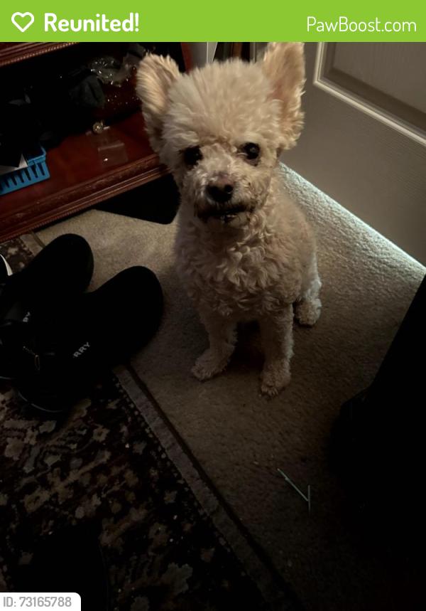 Reunited Male Dog last seen Fishing St. Henderons NV 89011, Henderson, NV 89011