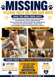 Lost Male Cat last seen Close to field drive, Lincolnshire, England 