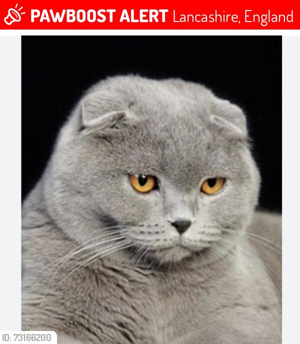 Lost Male Cat last seen Mythop Road (YMCA), Lancashire, England 