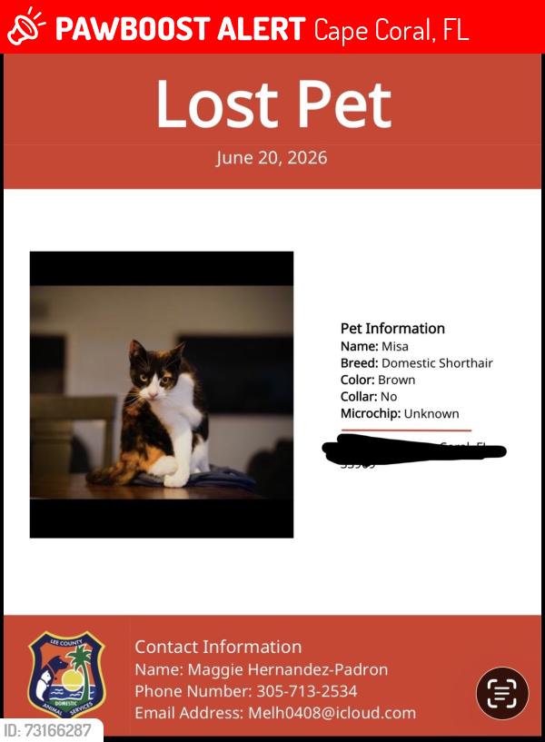 Lost Female Cat last seen 34th St and gator circle, Cape Coral, FL 33909