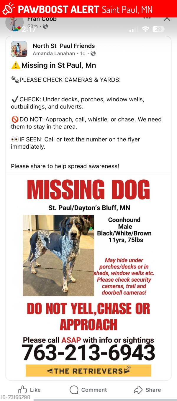 Lost Male Dog last seen Bush, Saint Paul, MN 55106