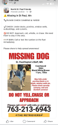 Lost Male Dog last seen Bush, Saint Paul, MN 55106