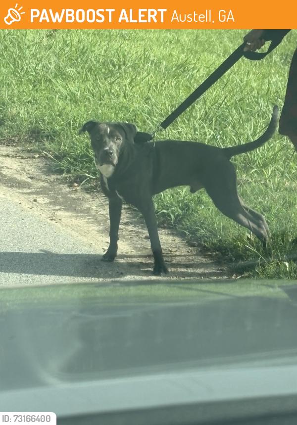 Found/Stray Male Dog last seen Humphries st, Austell, GA 30106