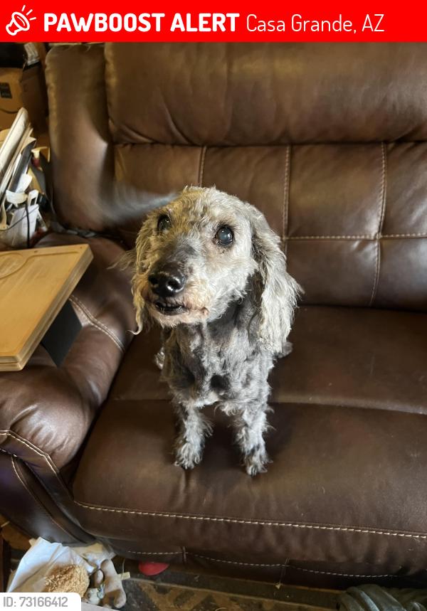 Lost Female Dog last seen Near W Lucky Penny Place, Casa Grande, AZ 85122