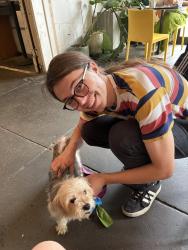 Found/Stray Female Dog last seen 16th and diamond, Philadelphia, PA 19121