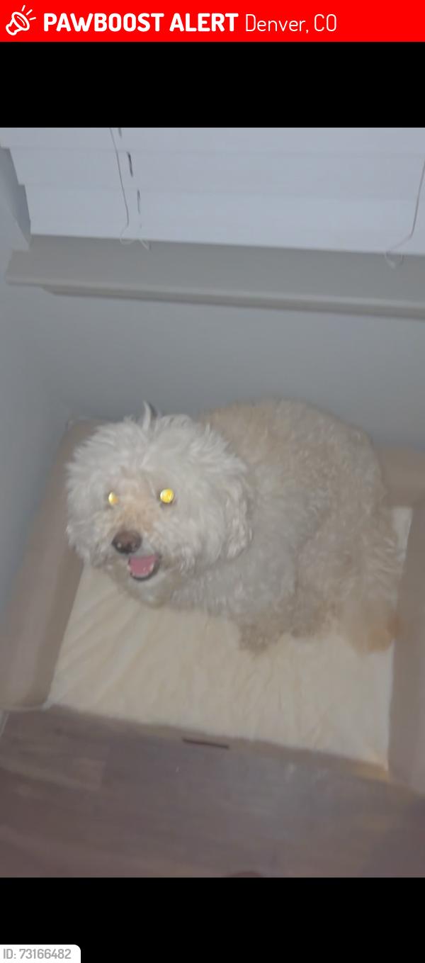 Lost Male Dog last seen Near Kittredge St, Denver, CO 80239