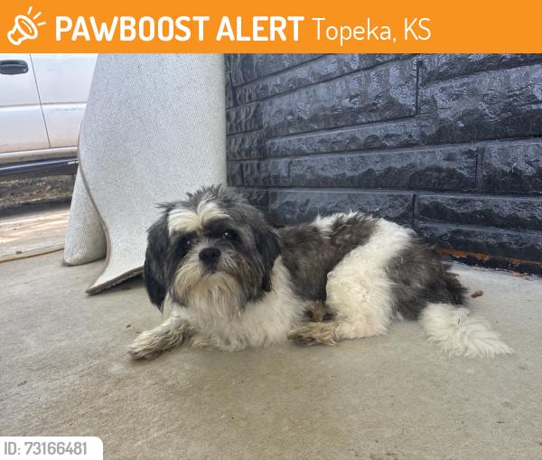 Found/Stray Male Dog last seen Girard st Topeka ks, Topeka, KS 66605