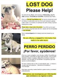 Lost Male Dog last seen Stone Street / Broadway / San Pablo Ave. / Rumrill, San Pablo, CA 94806