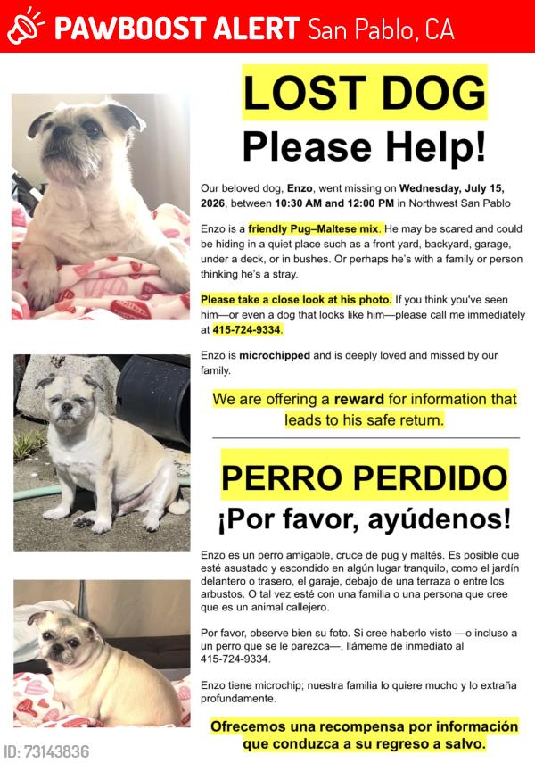 Lost Male Dog last seen Stone Street / Broadway / San Pablo Ave. / Rumrill, San Pablo, CA 94806