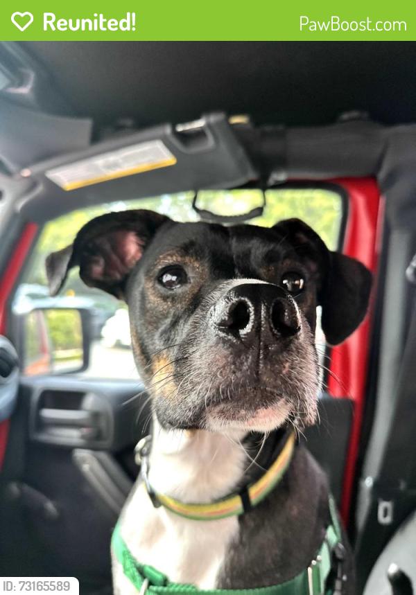 Reunited Male Dog last seen Wapiti Way is the nearest cross street. Very rural., Boone, NC 28607